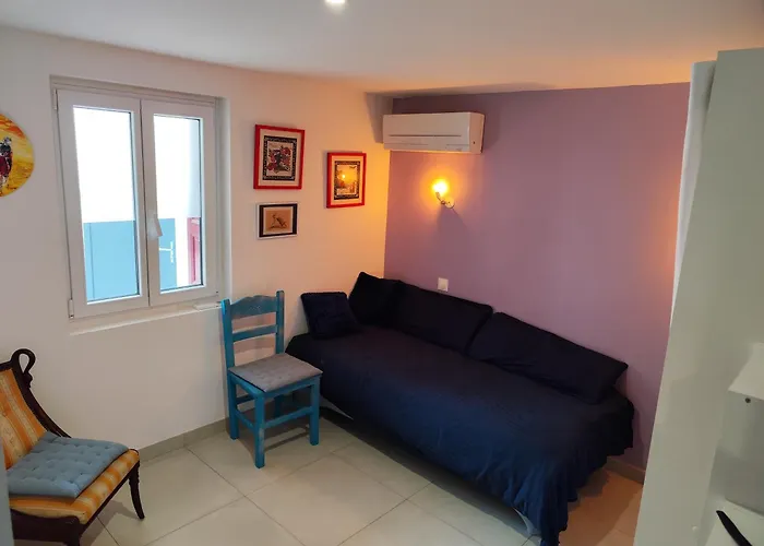 Daire Rdc A 2 Pas Du Port Vendres